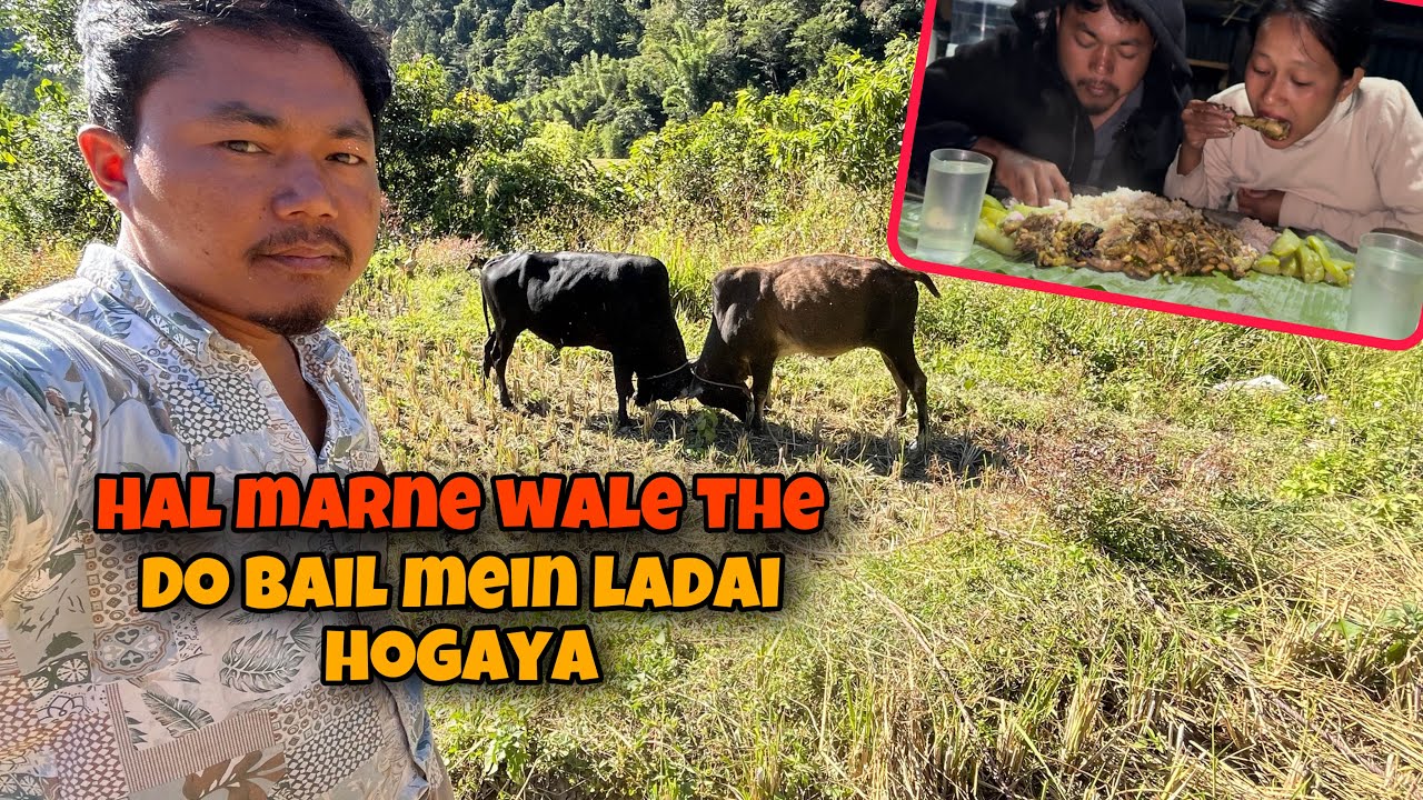 Do Bail Mein Ladai Hogaye || Hal Mar Nahi Paya