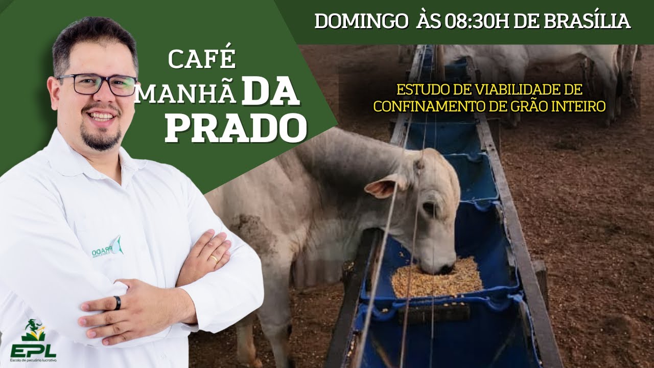 Estudo de Viabilidade de Confinamento de Grão Inteiro - Café da Manhã da Prado