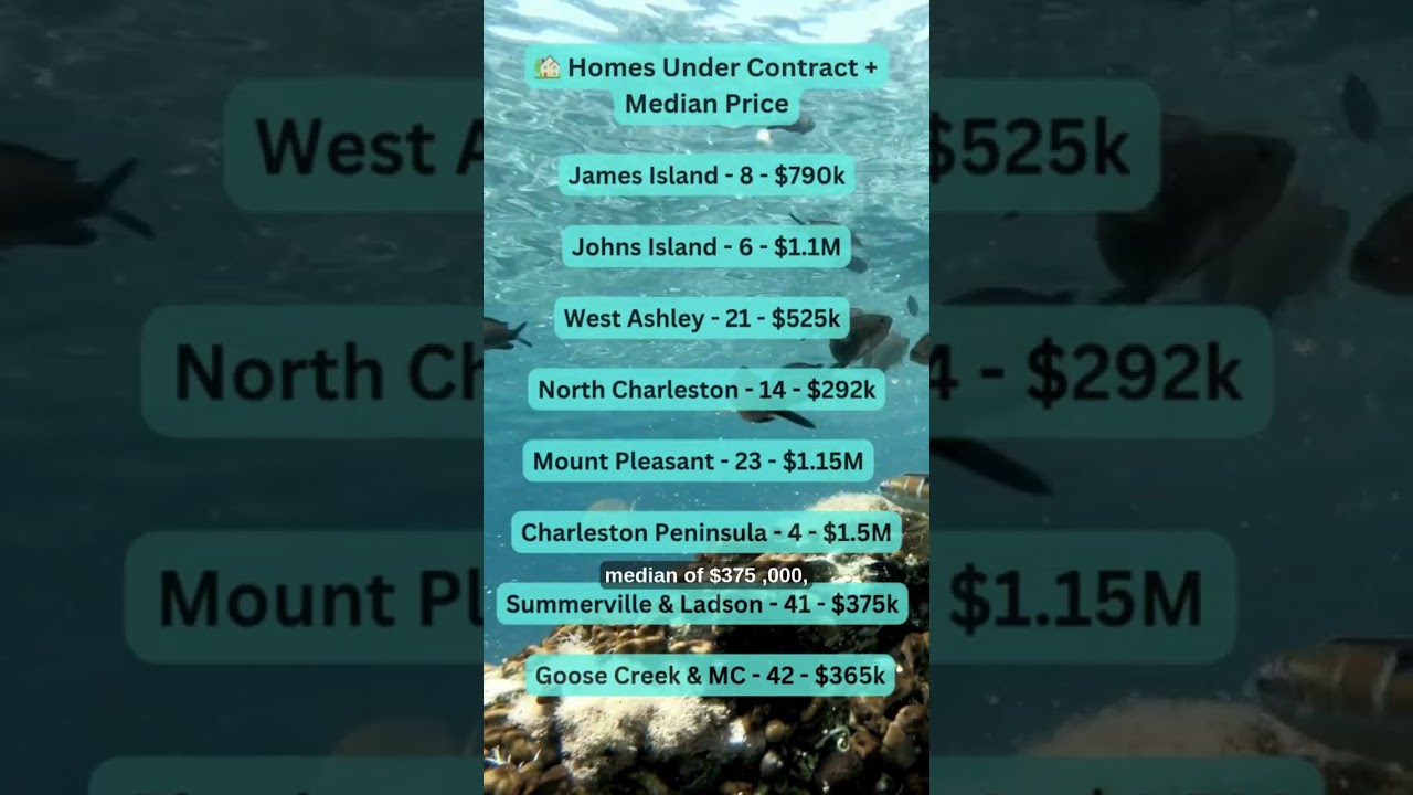 Charleston Housing Market Update | Weekly Real Estate Trends October 2025