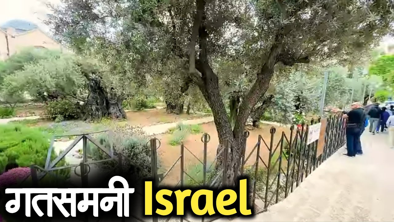 गतसमनी कि वाटिका खुद देखिए
