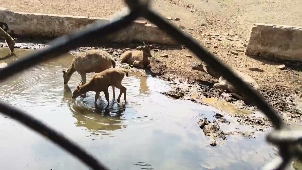 Maitri Bagh in Bhilai Chhattisgarh #like and subscribe part 2