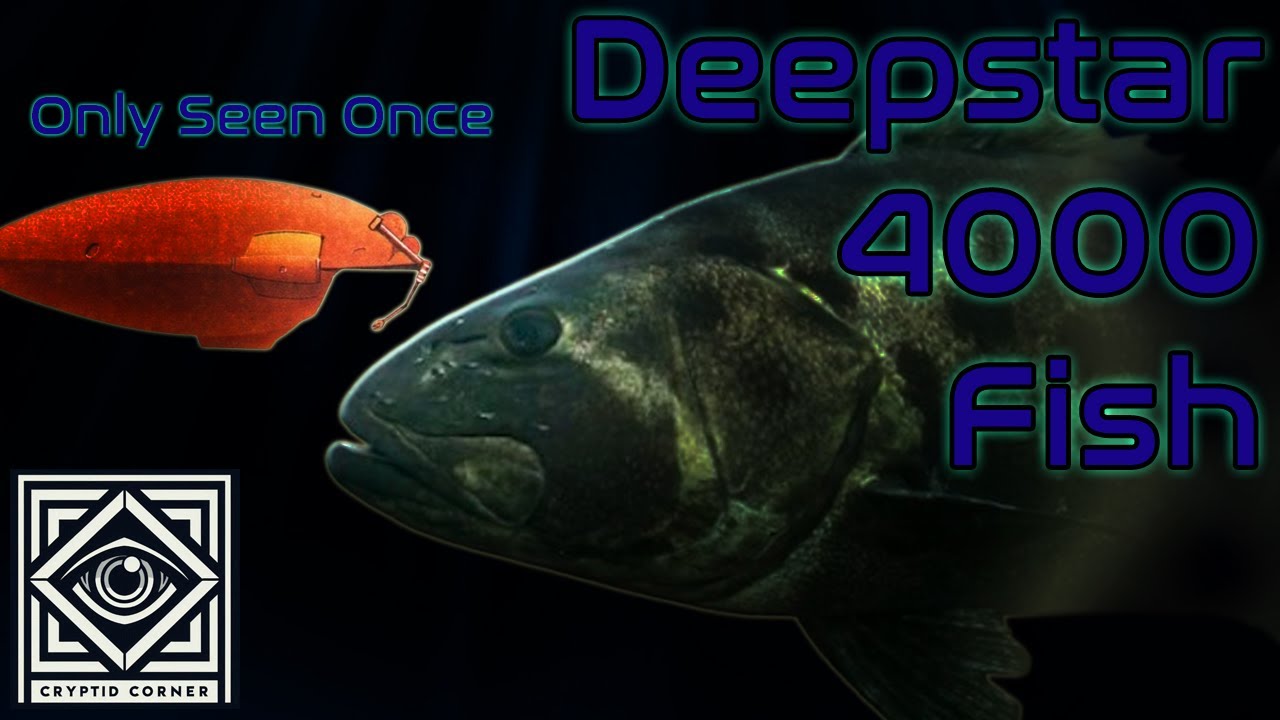 The Deepstar 4000 Fish | The Deep Sea Giant Only Seen Once