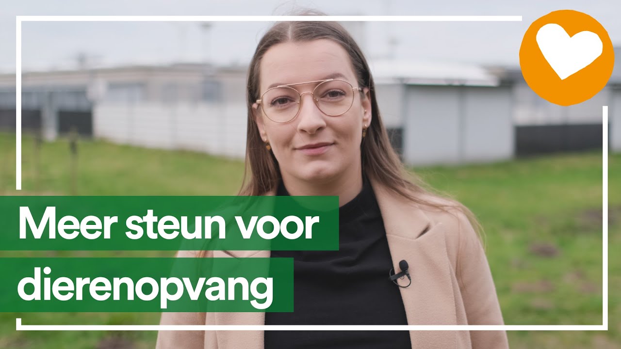Pam Wijnans over Hondenbelasting en Dierenopvang