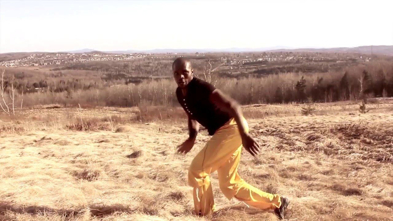 Kung-fu style du singe