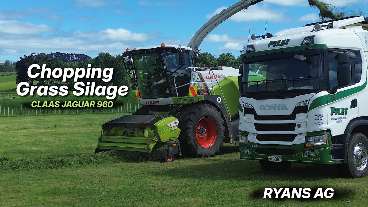 CLAAS JAGUAR 960 Chopping Grass Silage | Silage | RyansAgri