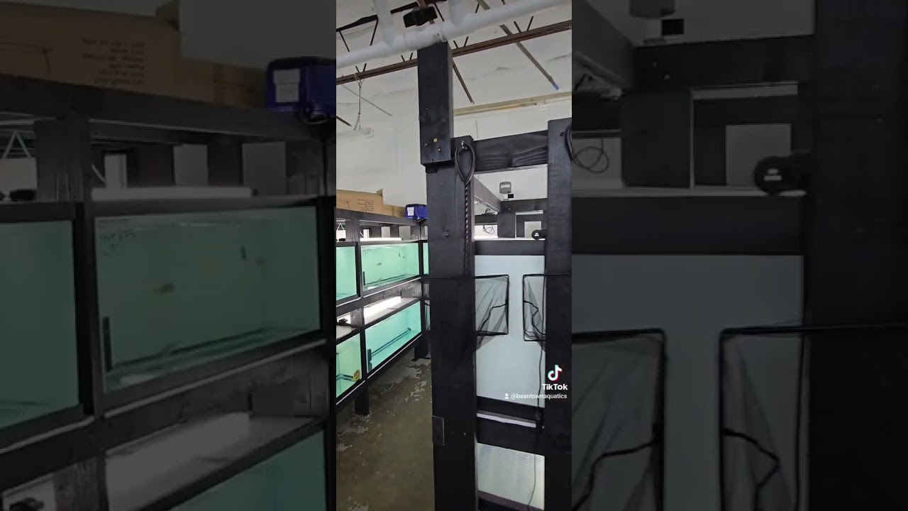 A quick tour of our new facility in Garland TX