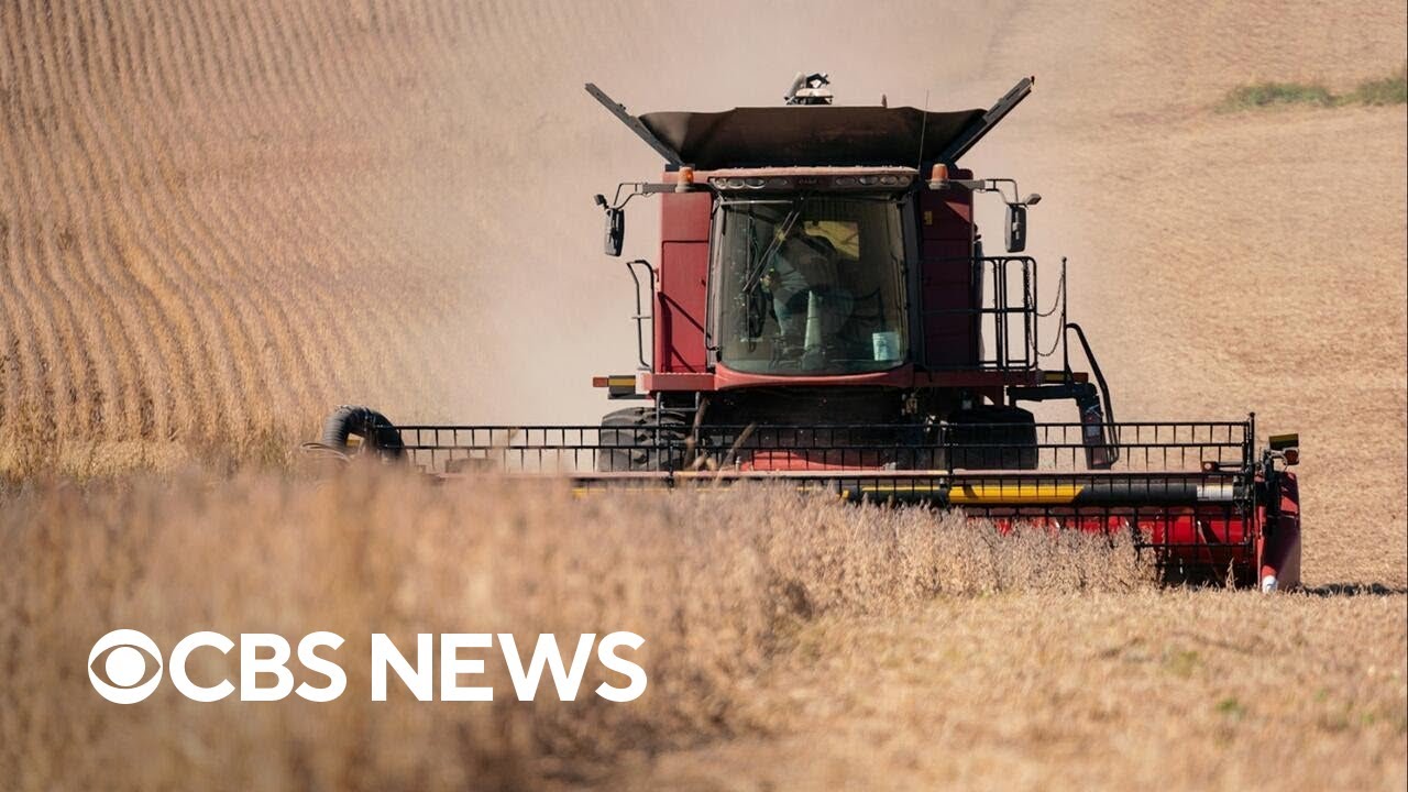 Iowa soybean farmer says 