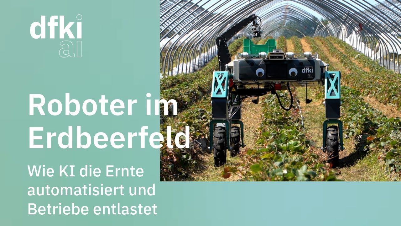 Automatisierte Obsternte mit KI: Roboter SHIVAA im Praxistest auf dem Erdbeerhof Glantz