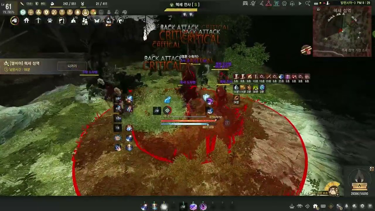 BDO Hexe Awk Corsair lv2 agris 