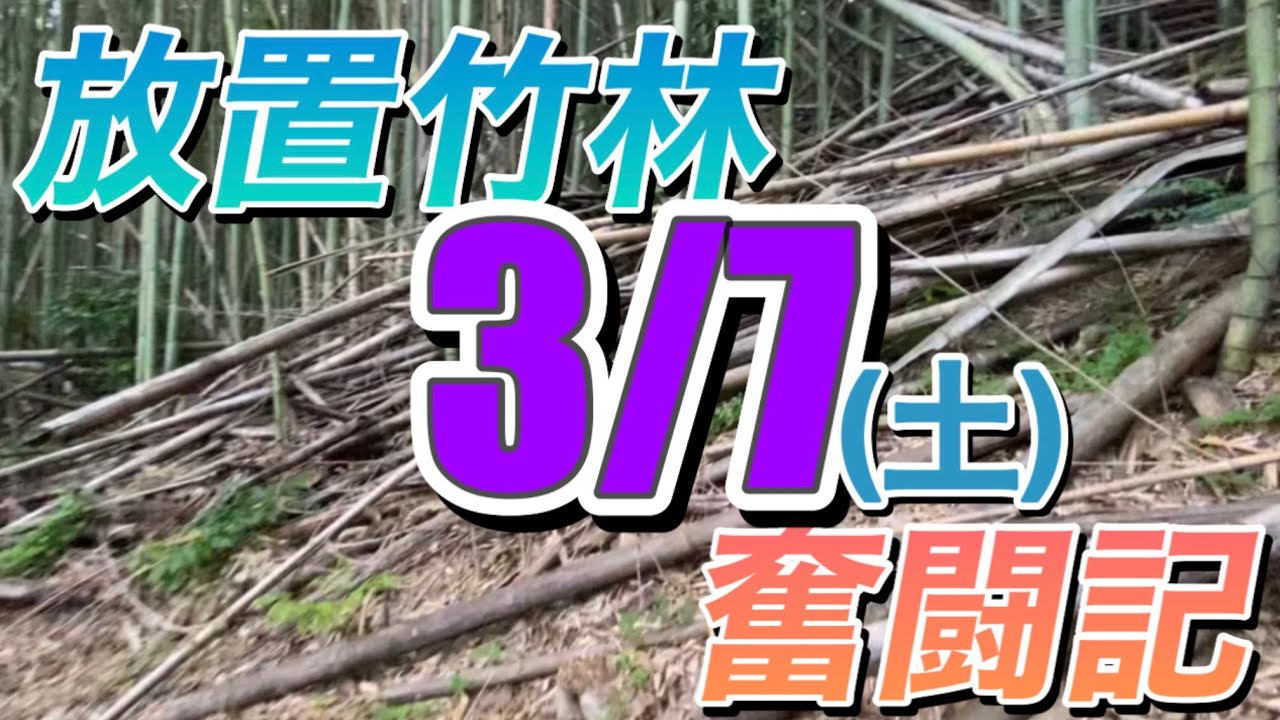 放置竹林奮闘記【早期退職者が竹を焼く日々】2026/03/07