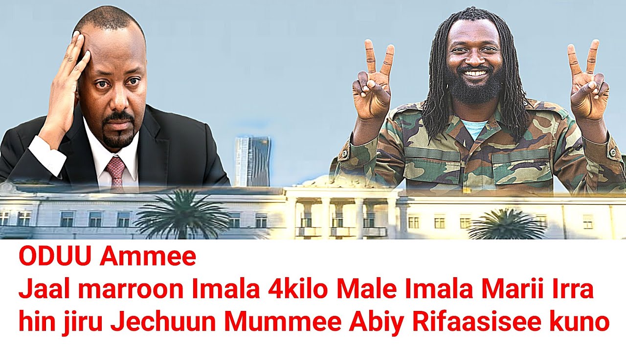 ODUU Ammee Jaal marroon Imala 4kilo male Imala marii irra hin jirruu jedhan | Moha Oromo 