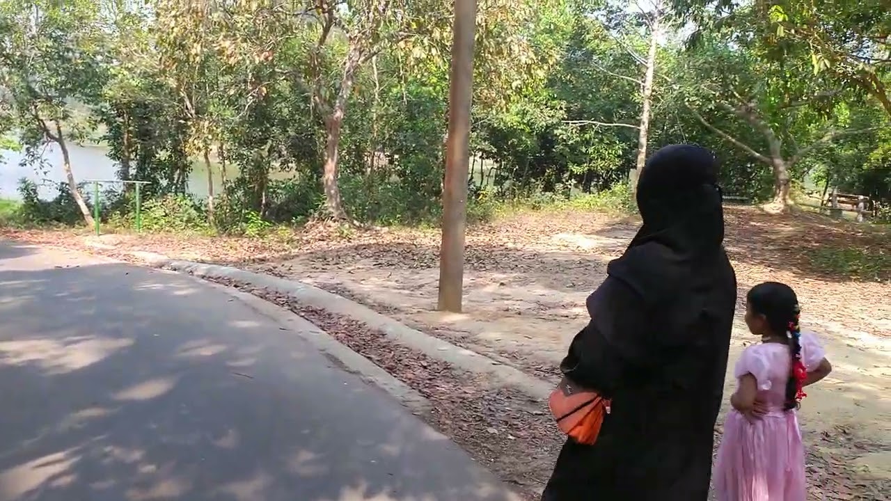 বানর | ডুলাহাজারা সাফারি পার্ক