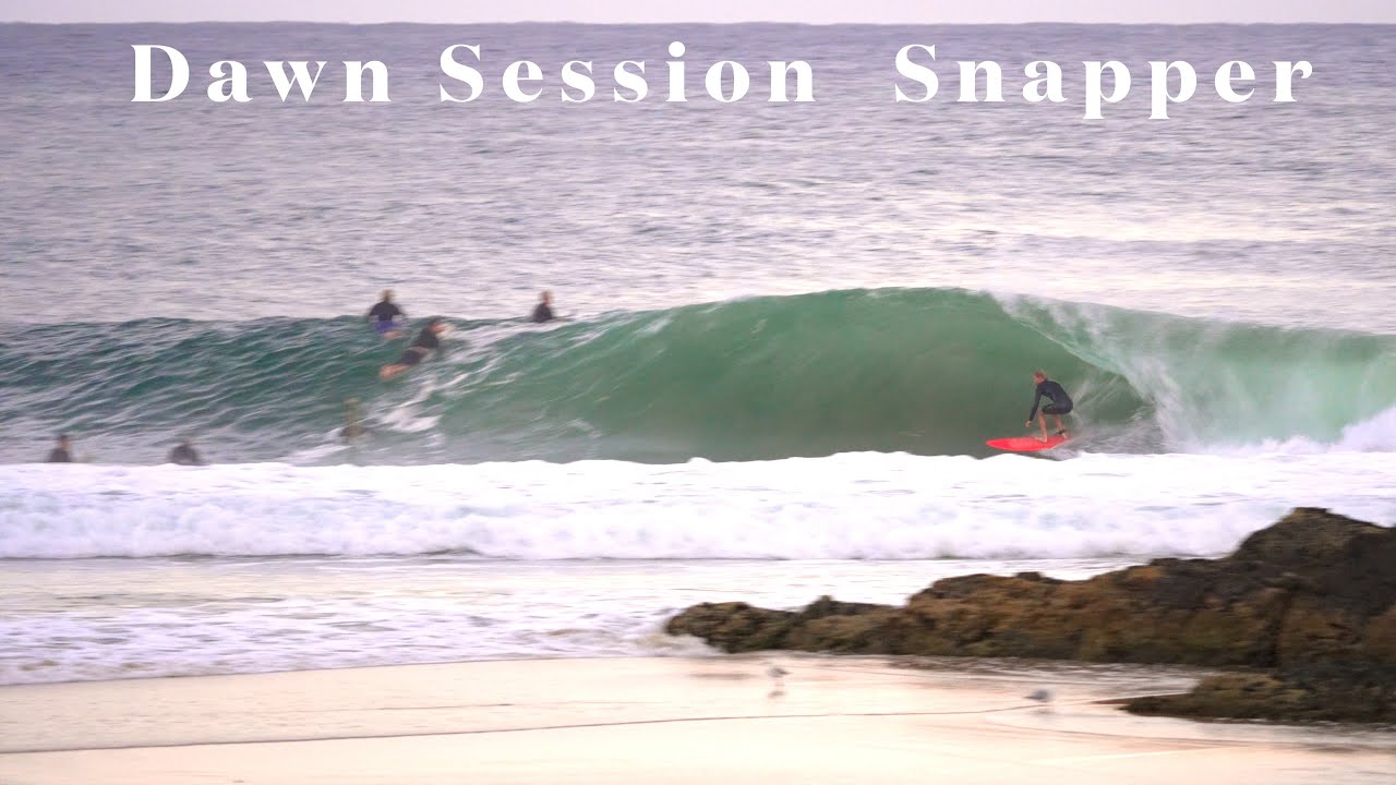 Snapper Rocks Firing All Morning - January 2026