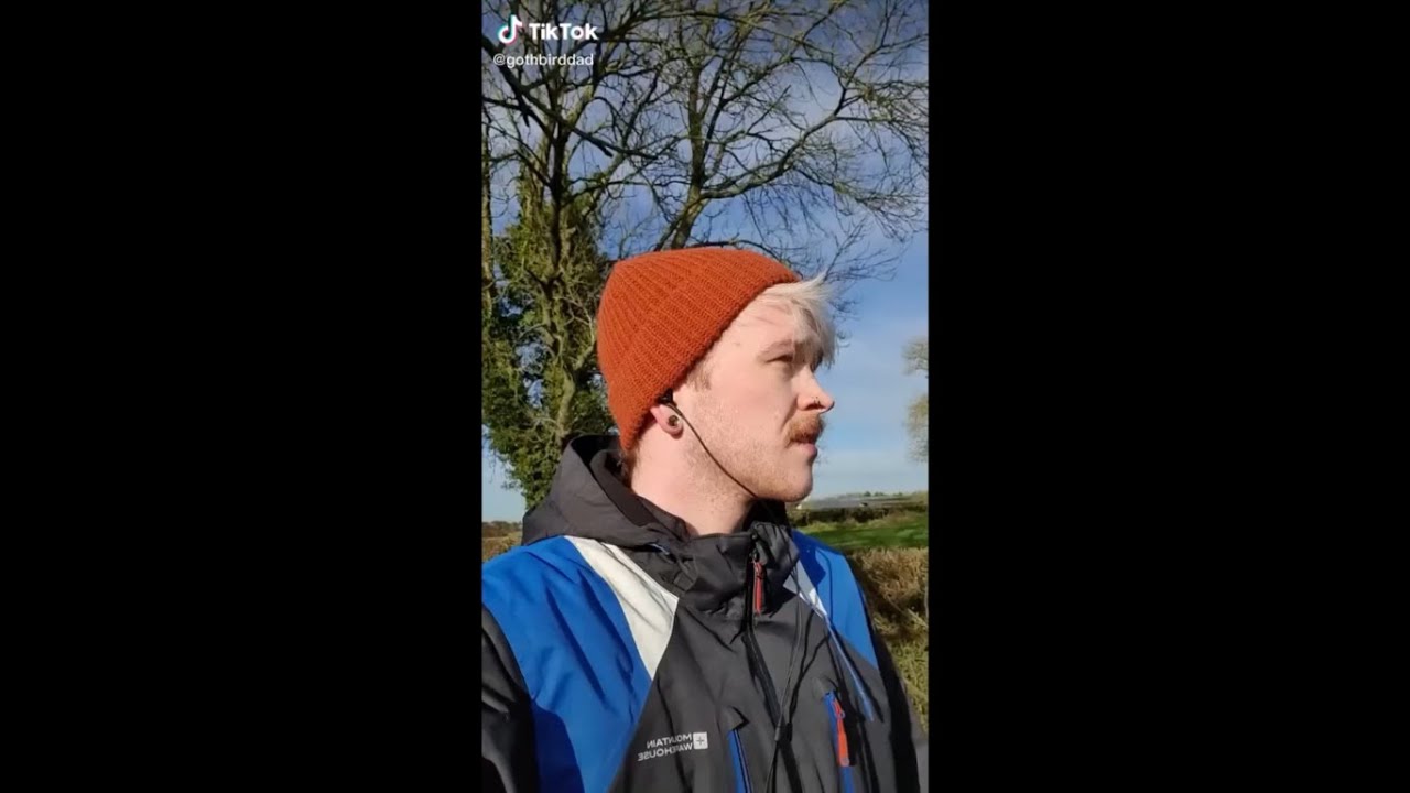 irish and british tiktoks that warrant making yerself a cuppa tea