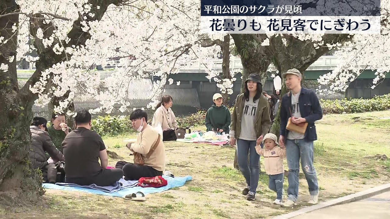 【桜】花見客でにぎわう週末　広島・平和公園