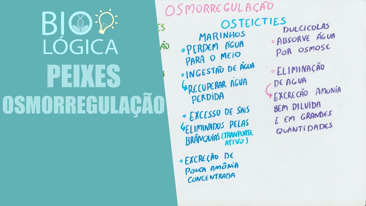 BIO LÓGICA! PEIXES - OSMORREGULAÇÃO
