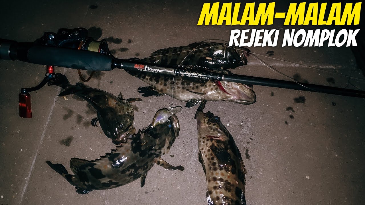 Mancing di ancol | casting kerapu menjelang malam hari | strike bertubi-tubi