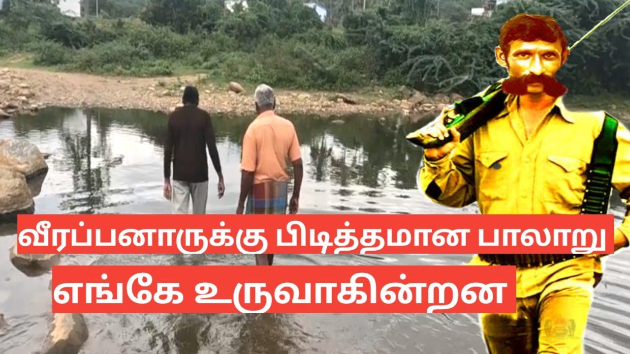 வீரப்பனார் பிடித்தமான பாலாறு எங்கே உருவாகிறது 