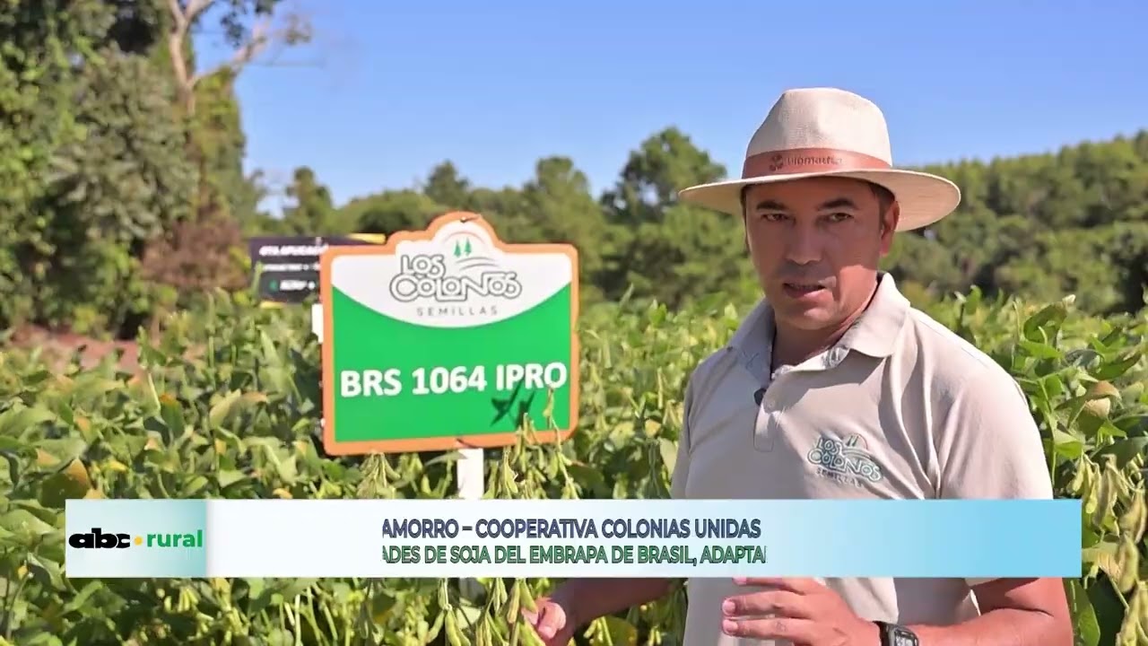 Cooperativa Colonias Unidas представляет сорта сои Embrapa.
