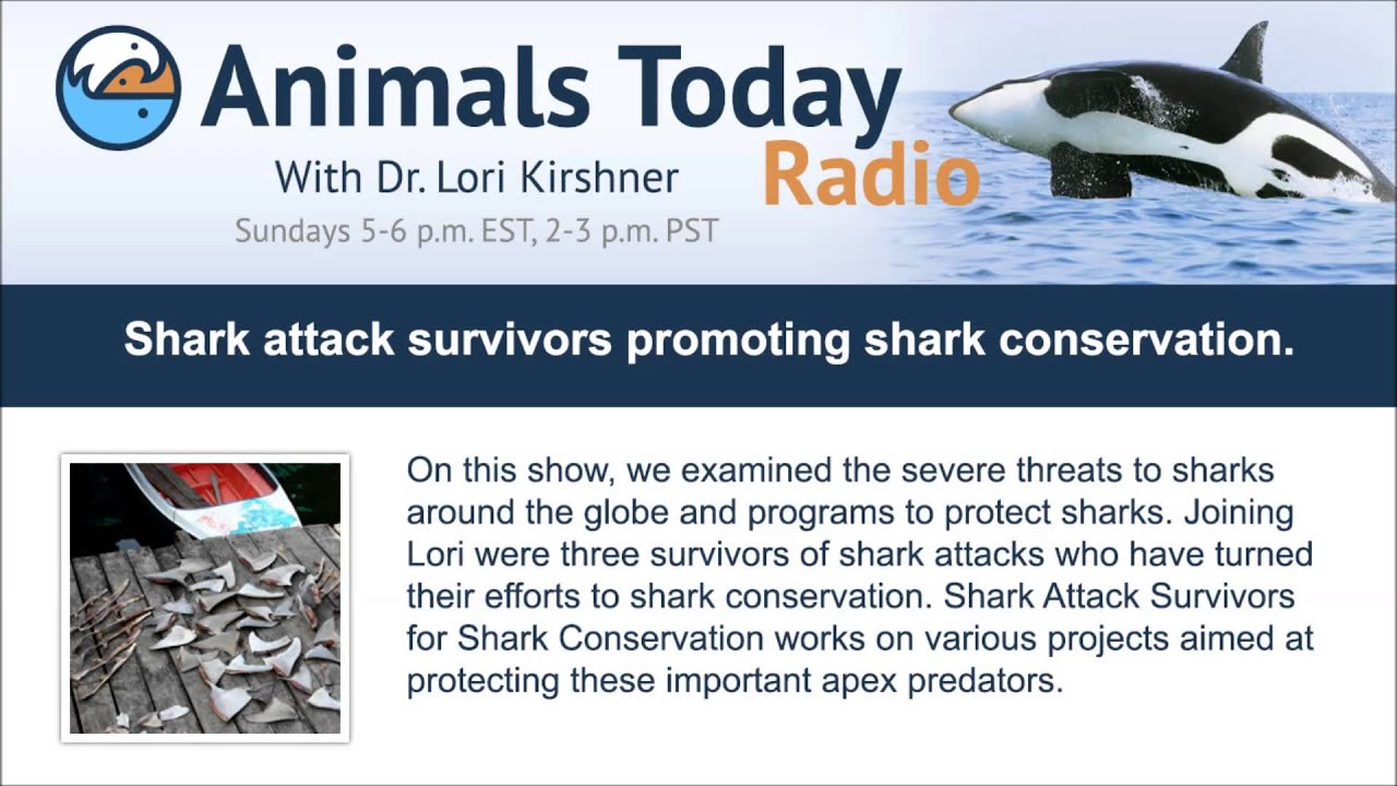 Shark attack survivors promoting shark conservation.
