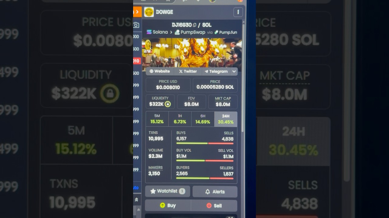 $DOWGE Huge BUY $19,000 Dollars!! #dowge #spx6900 #cryptonews