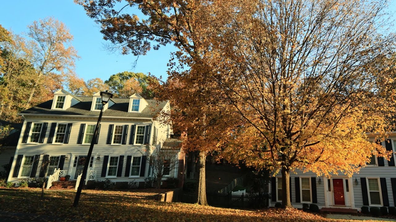 Fall Colors of Charlotte: A Scenic Drive Through NC USA Neighborhoods