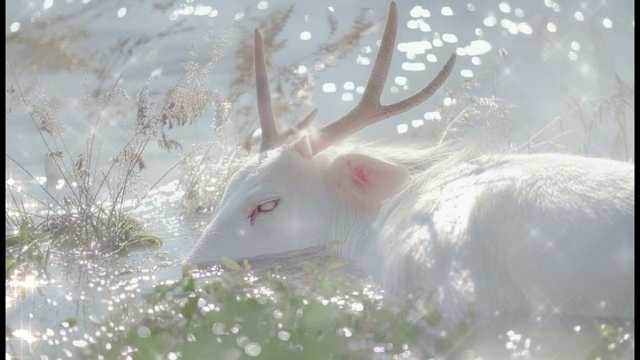 ✧˖° This 𝑨𝒑𝒑𝒆𝒂𝒓𝒔 Only When You Are Being Guided. (𝑼𝒏𝒆𝒙𝒑𝒍𝒂𝒊𝒏𝒂𝒃𝒍𝒆) ✧˖°