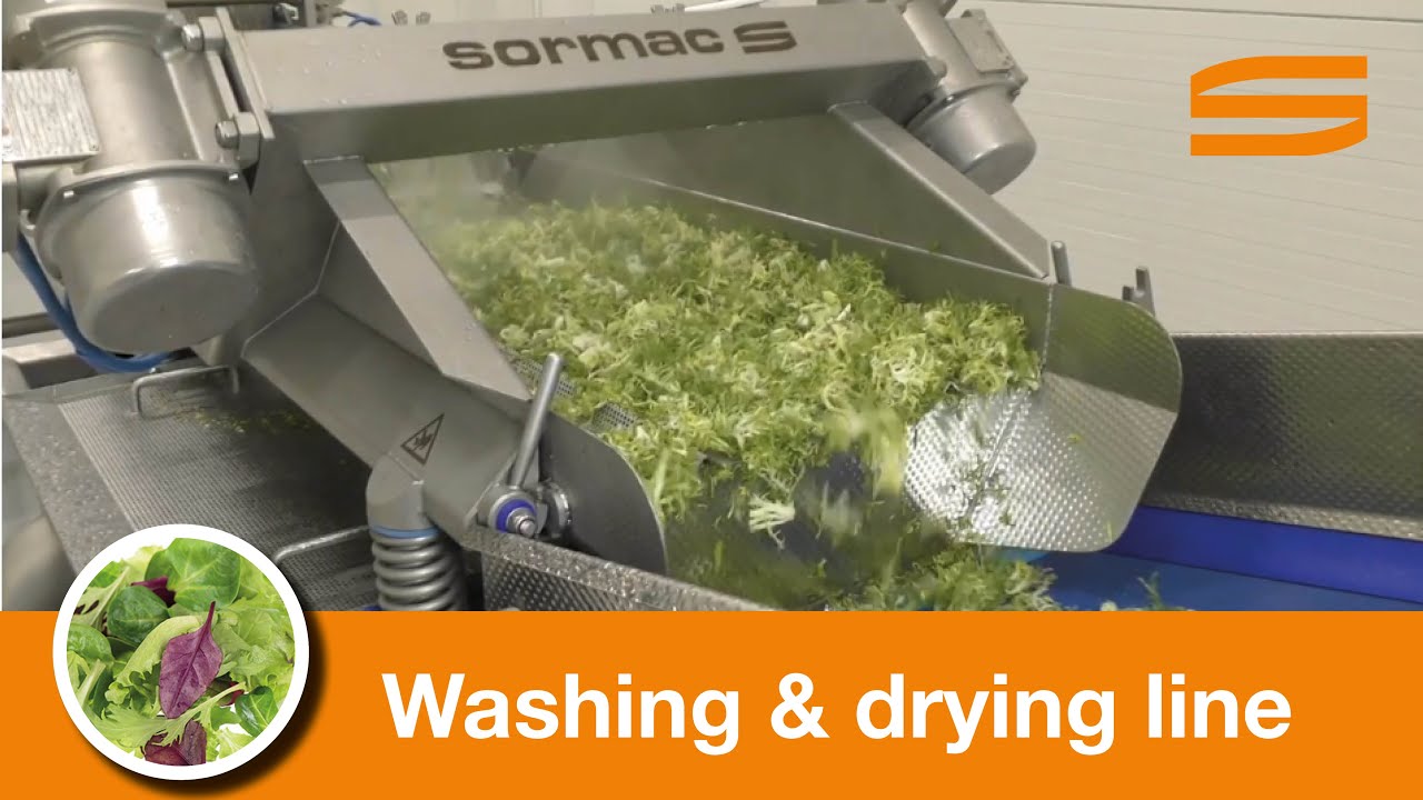 Vegetable washing and drying line - Sormac