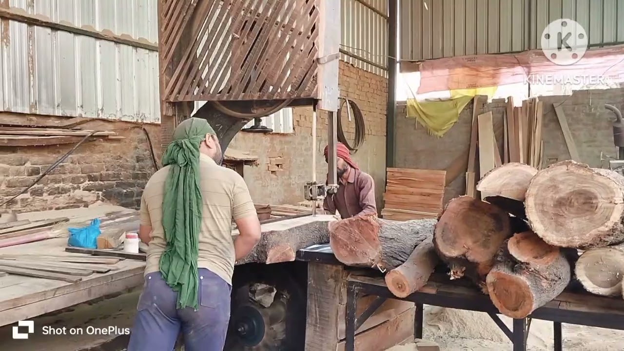 ♂️#sawmill ♂️#hardwood ♂️#viralvideo ♂️#Harworking ♂️ man ♂️