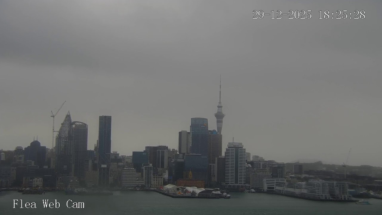 Auckland Live with Flea FM