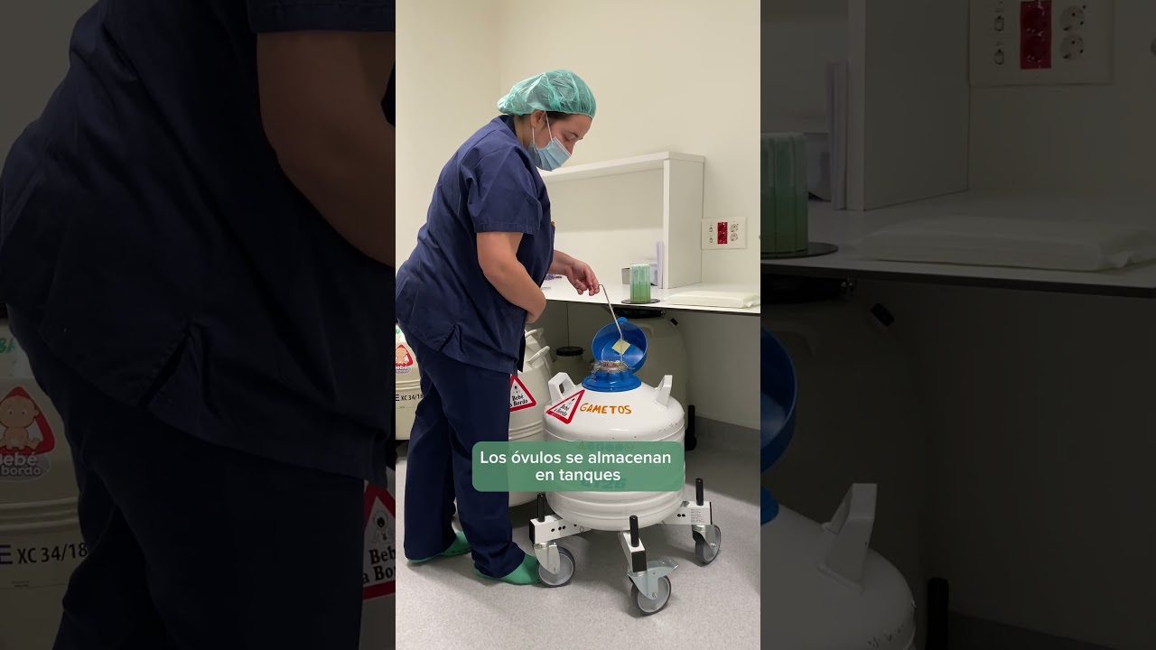 &iquest;C&oacute;mo se realiza la congelaci&oacute;n de &oacute;vulos?  #clinicadefertilidad #vitrificaci&oacute;n #fertilidadmadrid