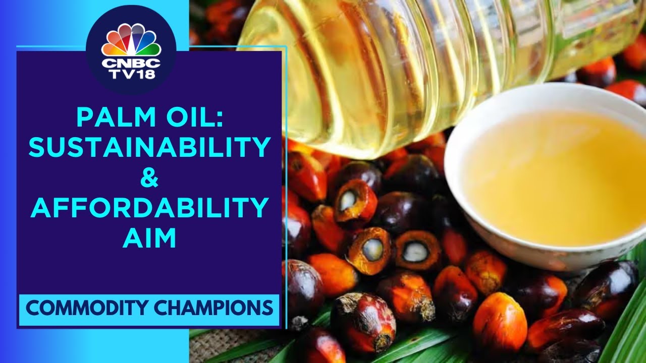 CNBC-TV18 In Jakarta | Roundtable On Sustainable Palm Oil