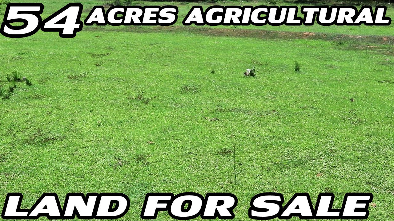 54 ACRES AGRICULTURAL LAND FOR SALE | GOVERNMENT ANNOUNCED AGRICULTURE BENEFITS | BUY THIS PROPERTY