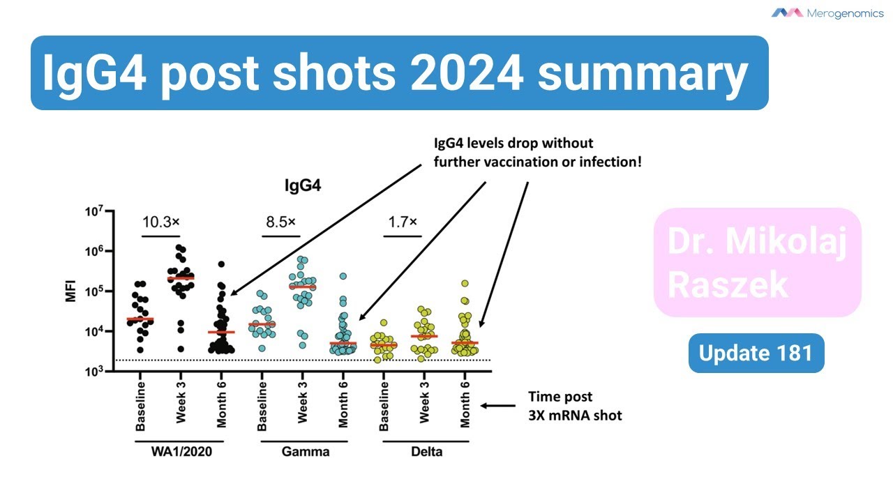 2024 update: IgG4 antibodies post-mRNA vaccination (update 