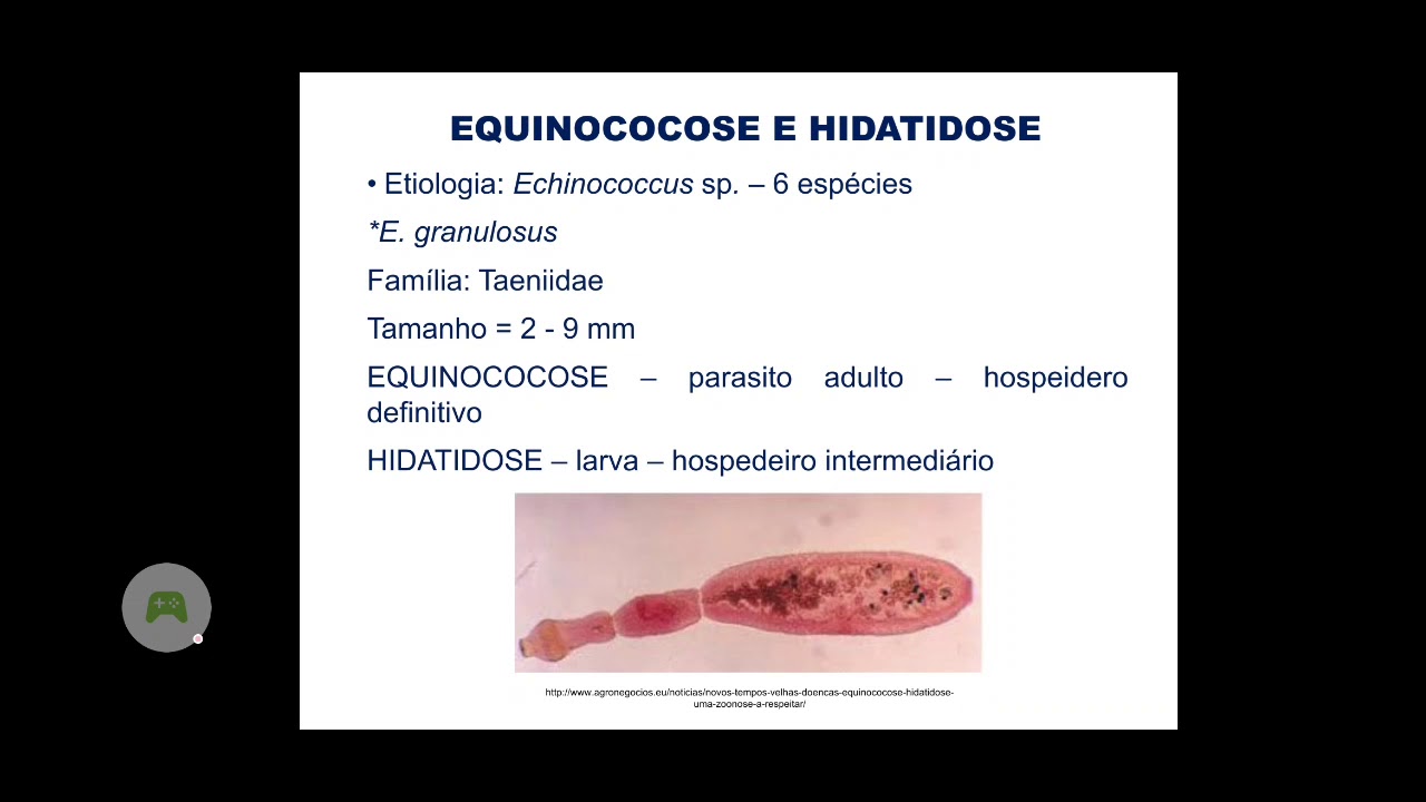 Equinococose e Hidatidose