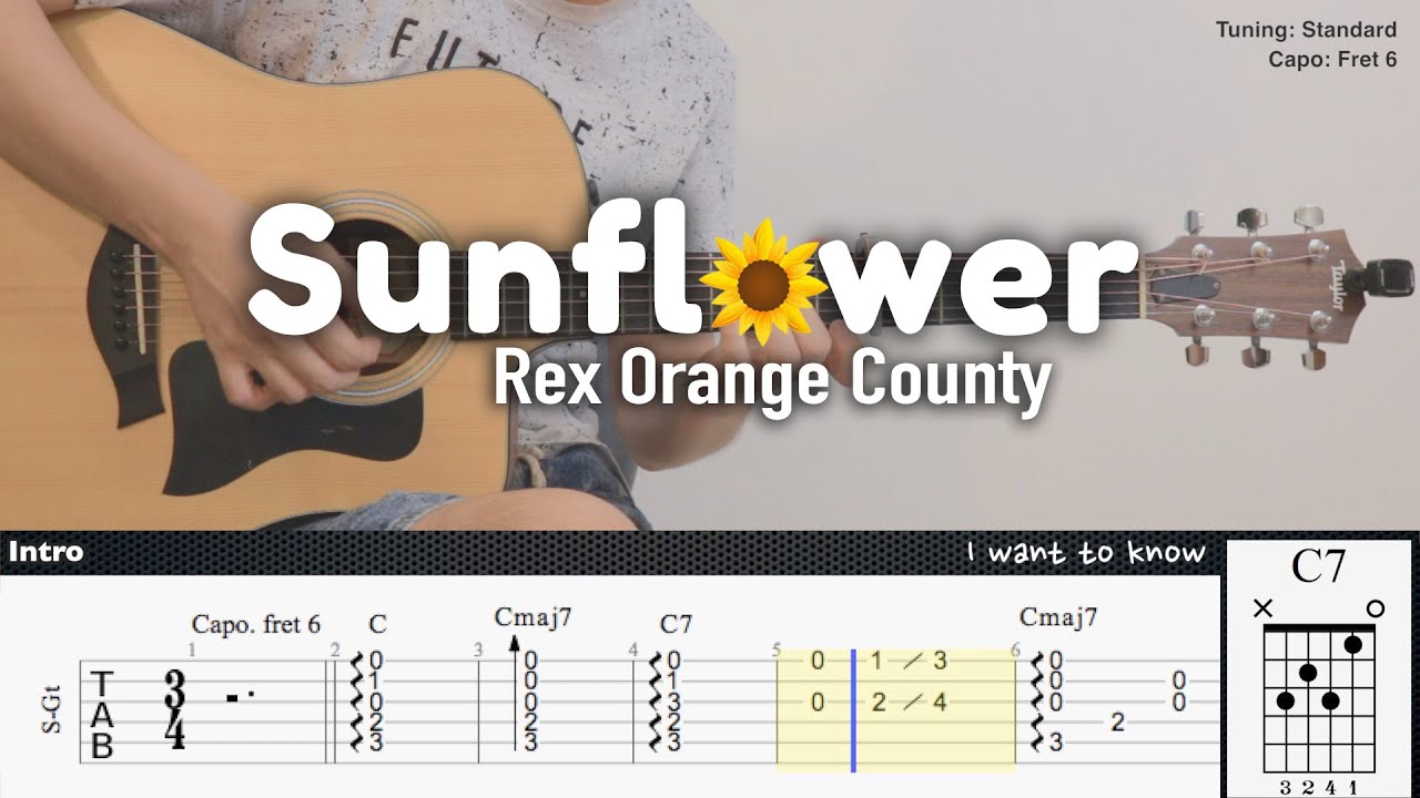 Sunflower - Rex Orange County | Fingerstyle Guitar | TAB + Chords + Lyrics