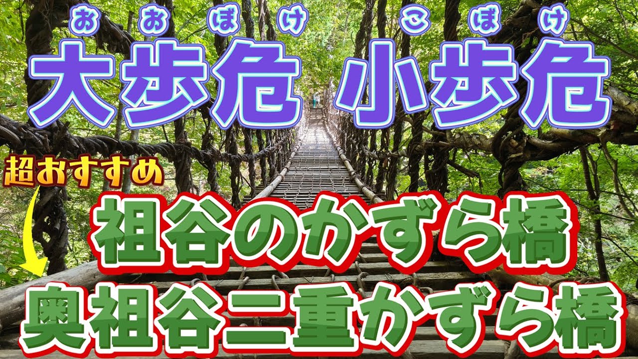 超おすすめ 奥祖谷二重かずら橋　かずら橋　大歩危小歩危（おおぼけこぼけ）　かずら橋より 奥祖谷二重かずら橋に行ったほうがいい！ 歩危マート