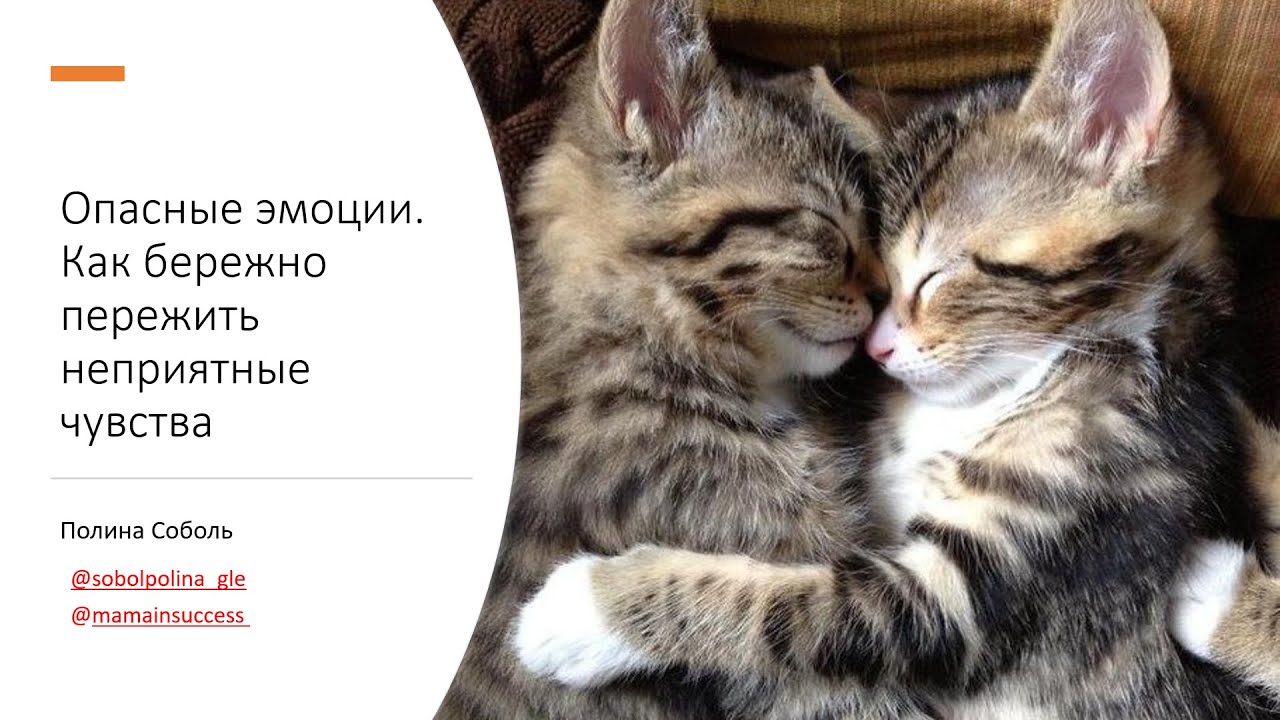 Запись вебинара 