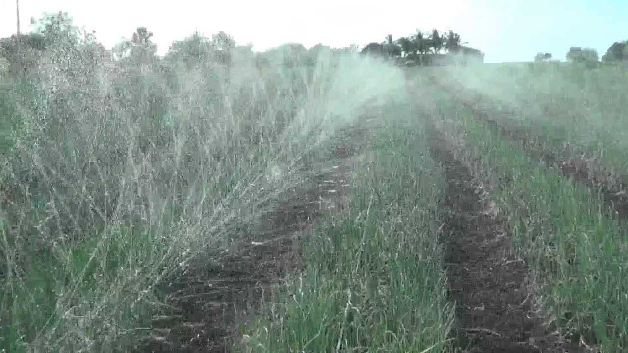 Micro Rain Spray Hose Video