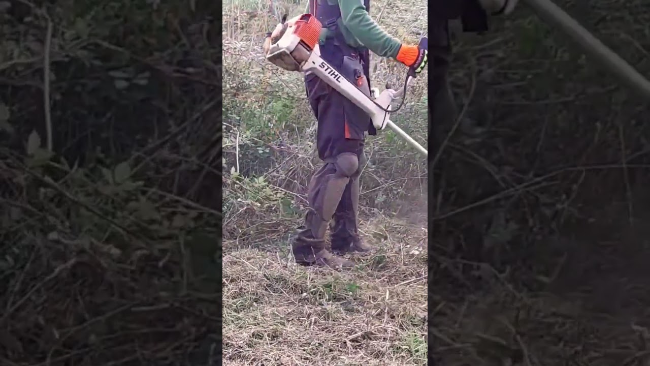 Desbroce de ZARZAS