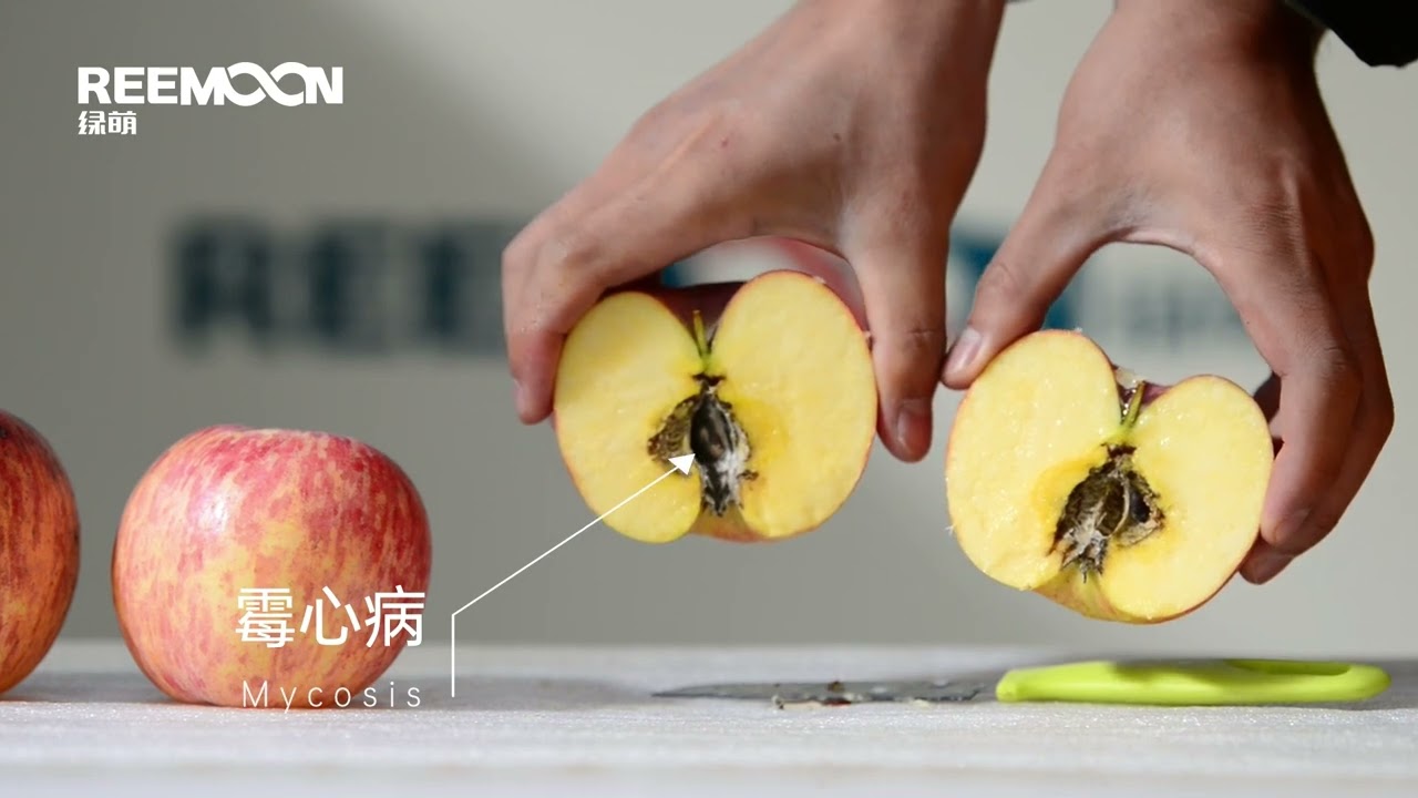 Reemoon Smart Apple Sorting Equipment: Technology Empowers Quality Selection
