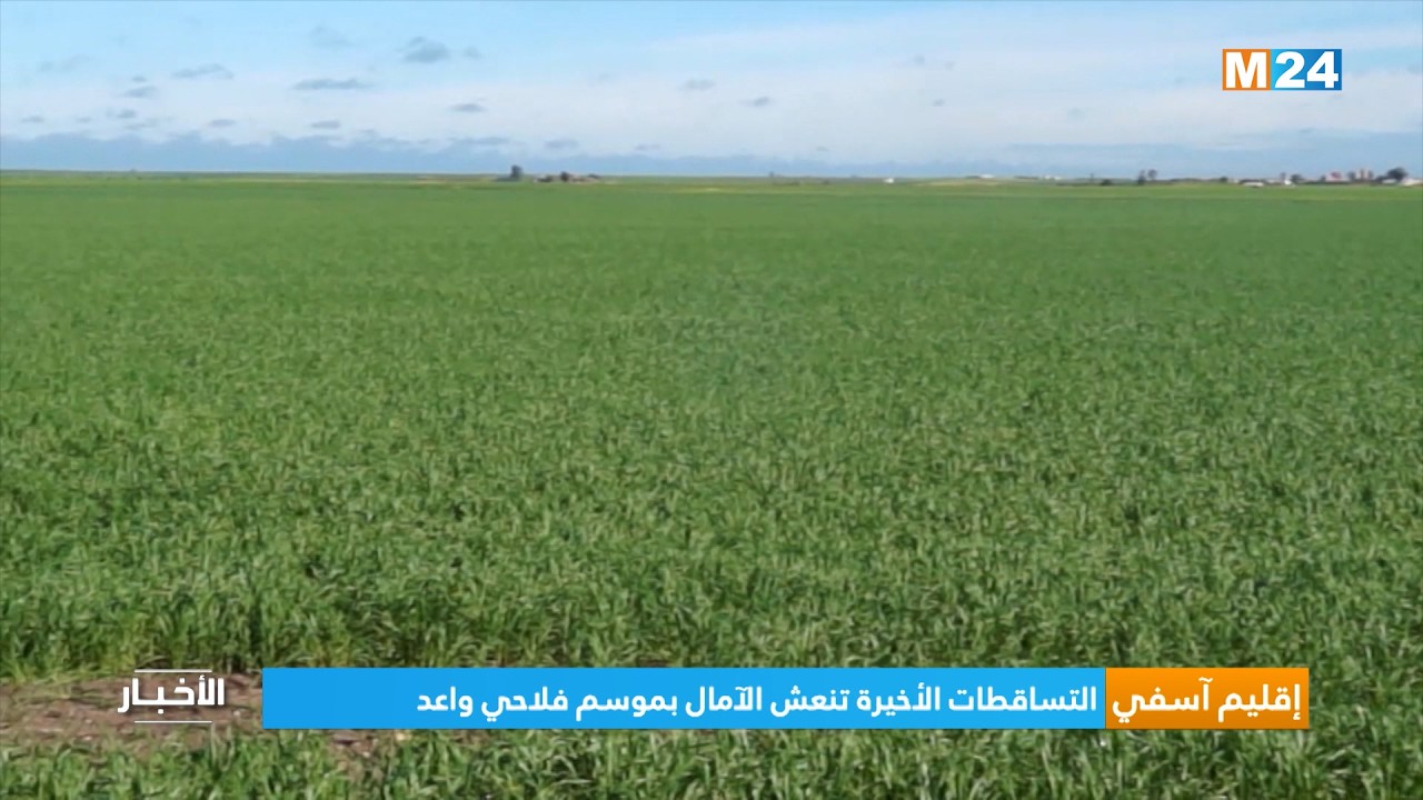 إقليم آسفي.. التساقطات الأخيرة تنعش الآمال بموسم فلاحي واعد