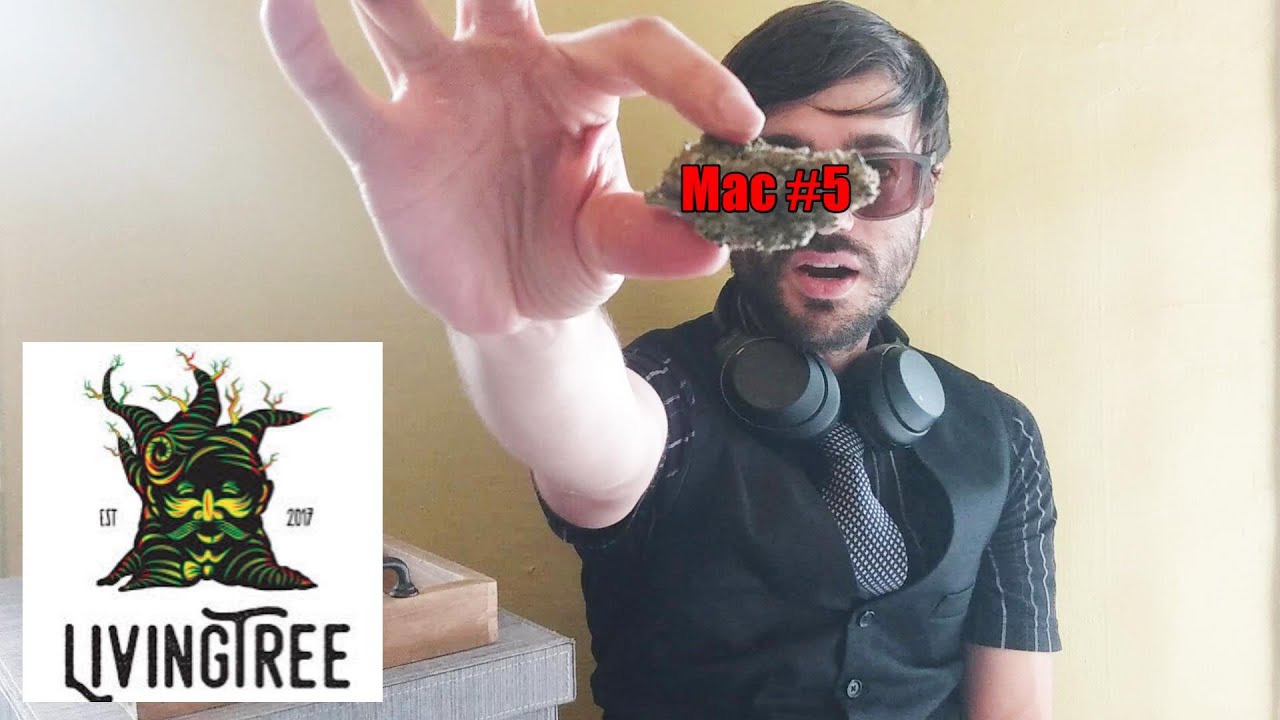 Living Tree: MAC #5 Strain Review