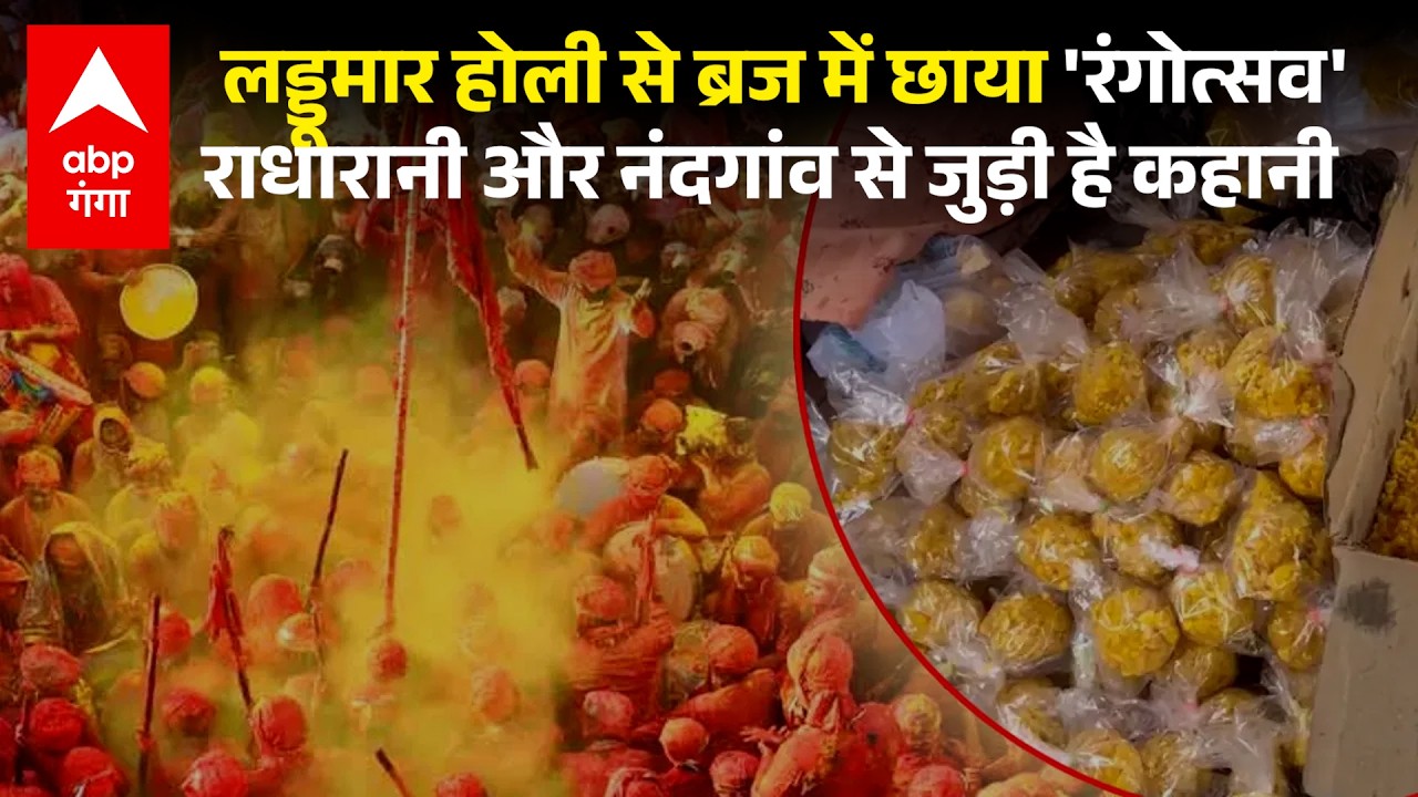 Barsana Laddu Holi: Holi begins with Laddoo throwing in Barsana, Braj resounds with the chants of Radhe-Shri Krishna.