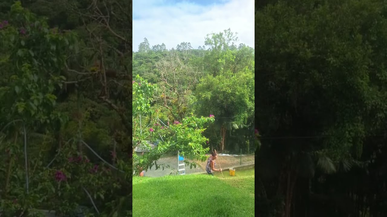 CORTAR AGRAMA da um TRABALHO no verão 