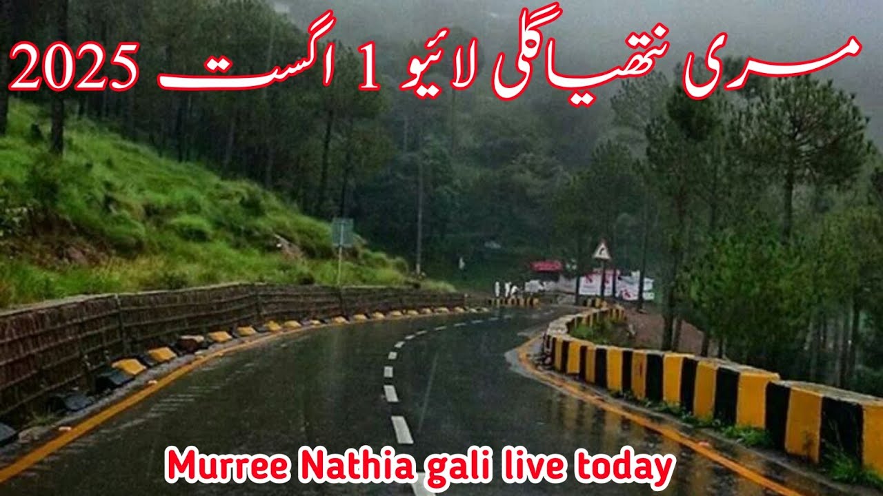 Murree Live today | murree weather today | #murree hills | Nathia gali today #nathiagali 