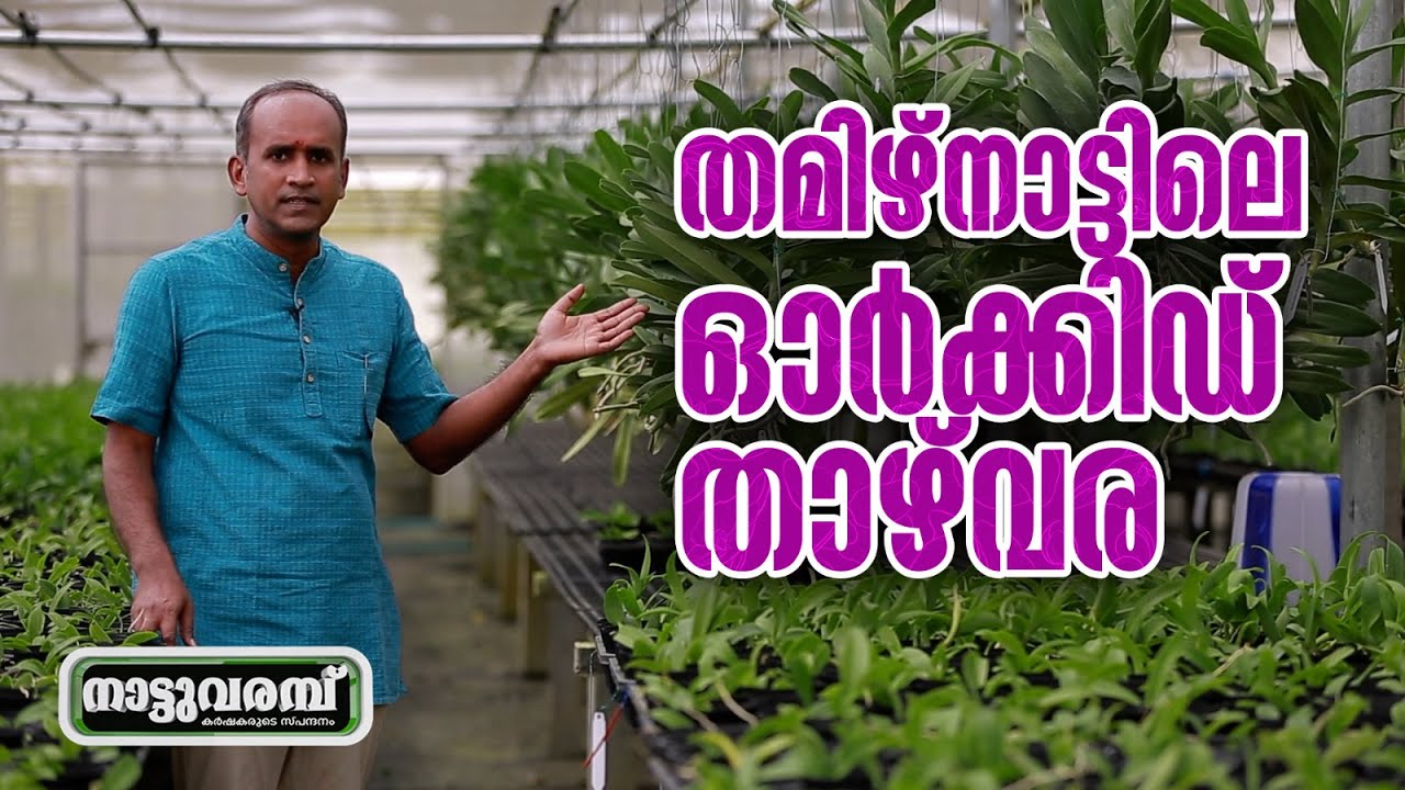 തമിഴ്‌നാട്ടിലെ ഓർക്കിഡ് താഴ്വര | ORCHIDS | RYNCO ORCHIDS | PART 01 | NATTUVARAMBU #246 | JANAM TV