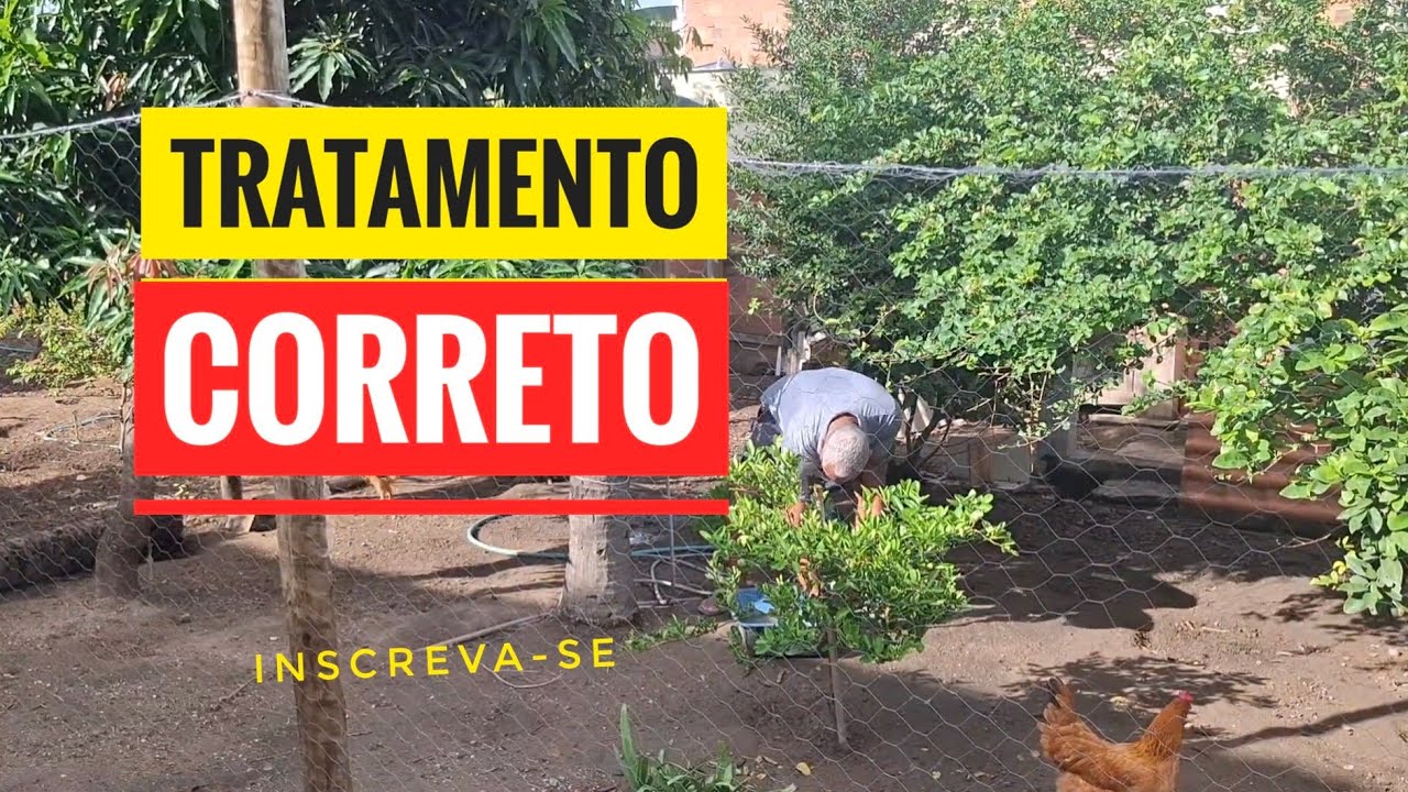 Tratando a Criação do Jeito Certo 🐔🐶 Cuidado, Limpeza e Bem-Estar Animal.