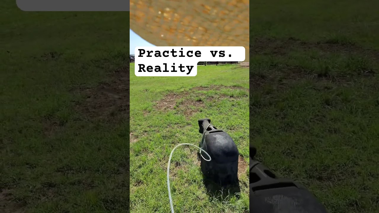 Roping cattle :Practice vs. Reality