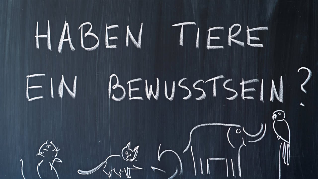 Haben Tiere ein Bewusstsein? Die Wahrheit &uuml;ber Instinkt und inneres Erleben